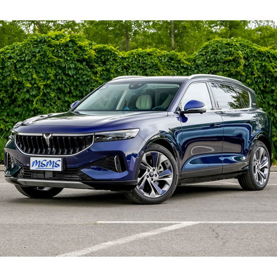 VOYAH GRATIS Long Endurance SUV 5 deuren 5 zitplaatsen Carrosserie structuur voor superieure prestaties