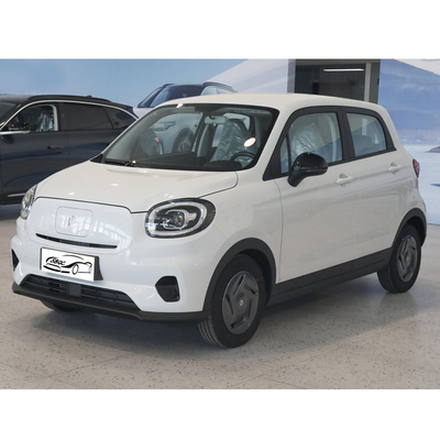 Mini Leapmotor T03 Energievoertuigen Maximaal vermogen 40kW 54P Deposito Mini Elektroauto